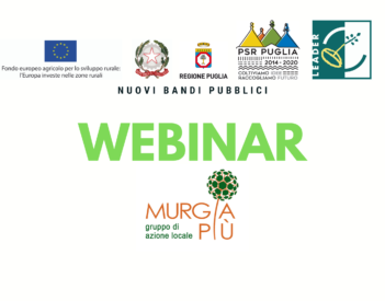 WEBINAR DI PRESENTAZIONE DEI BANDI